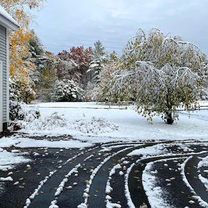 Meet your Posher, Wanda